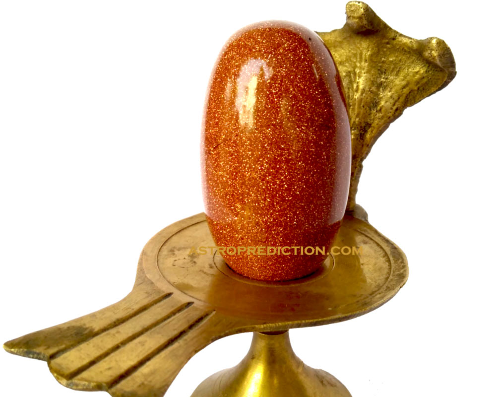 Divya Shivling For Grand Success